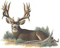 Trail Blaze Hunting Consultants Logo