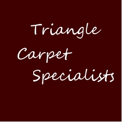 Triangle Carpet Specialists logo'