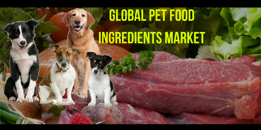 Global Pet Food Ingredients Market