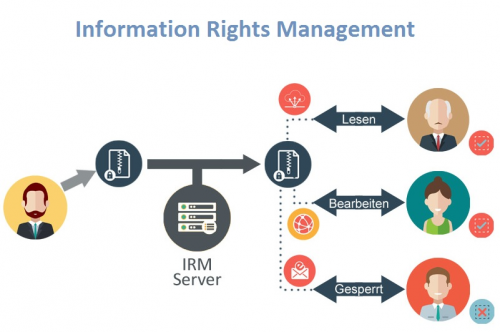 Information Rights Management market'