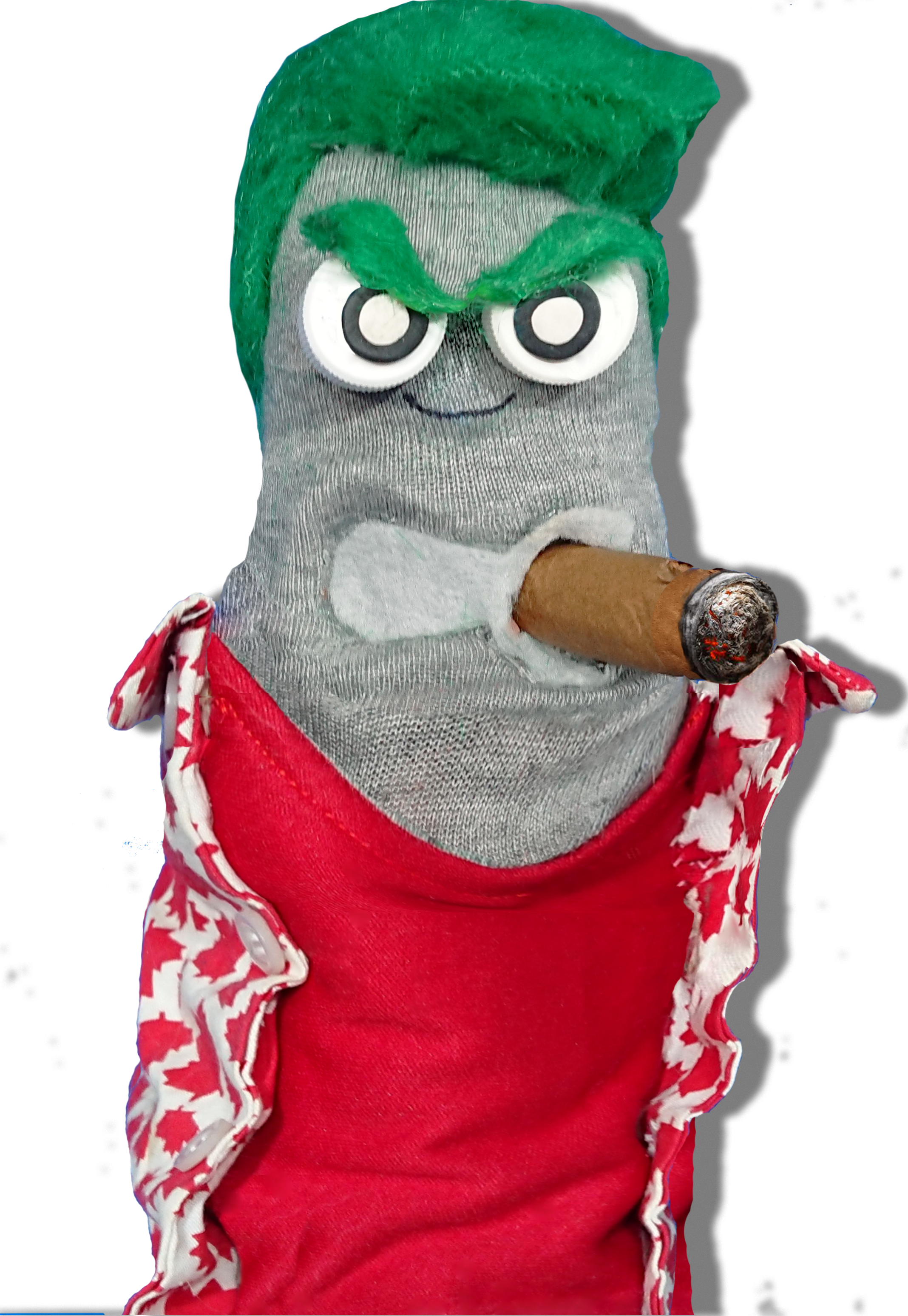 Ed the Sock - Candidate for Premier