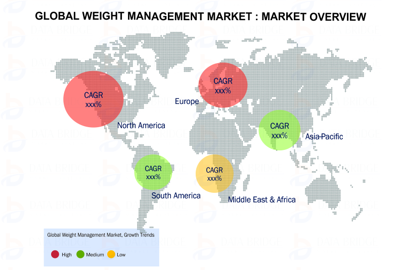 Global Weight Management Market
