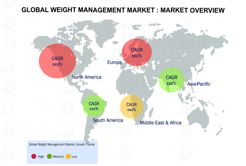 Global Weight Management Market'