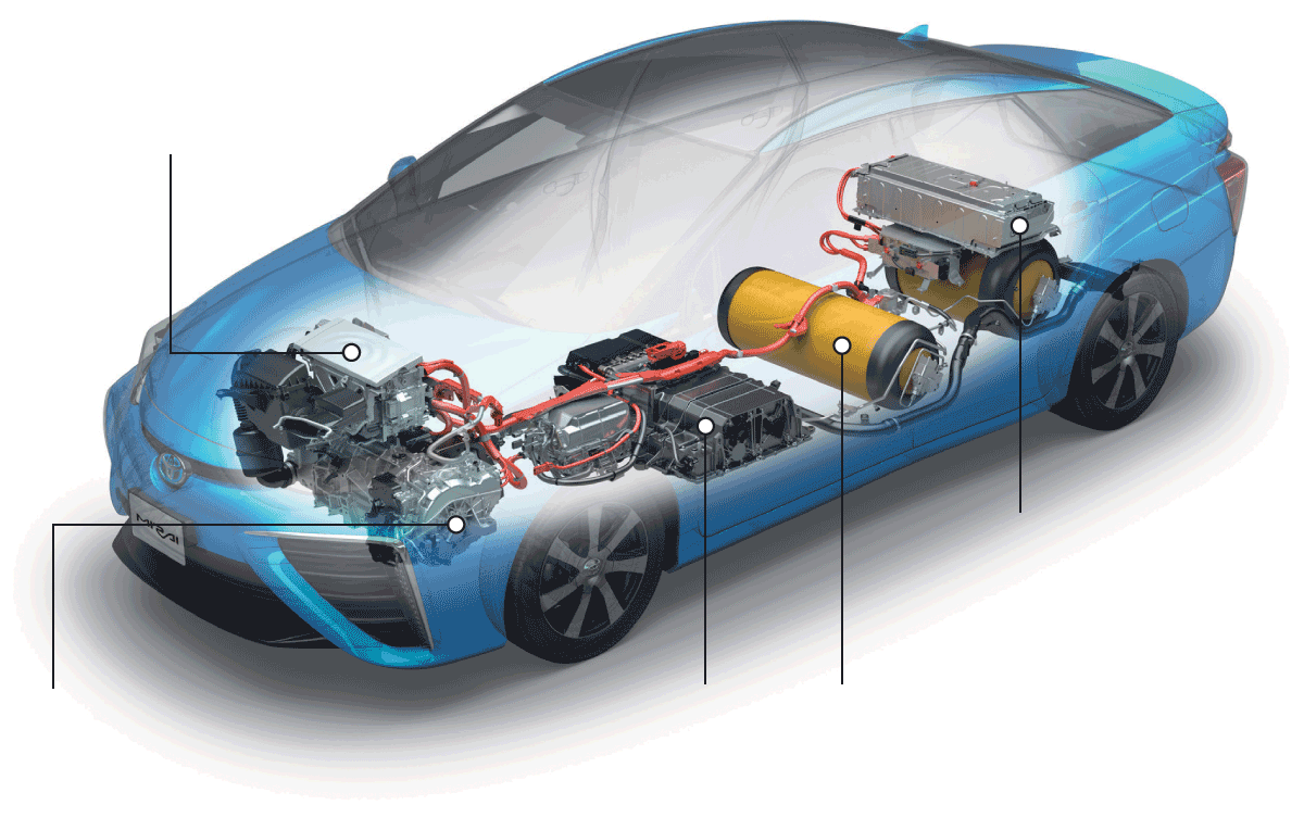 Hydrogen Fuel Cell Vehicle Market'