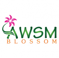 Awsm Blossom Kurukshetra Florist Logo