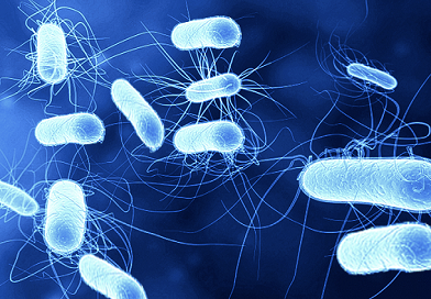 Antimicrobial Additives Market