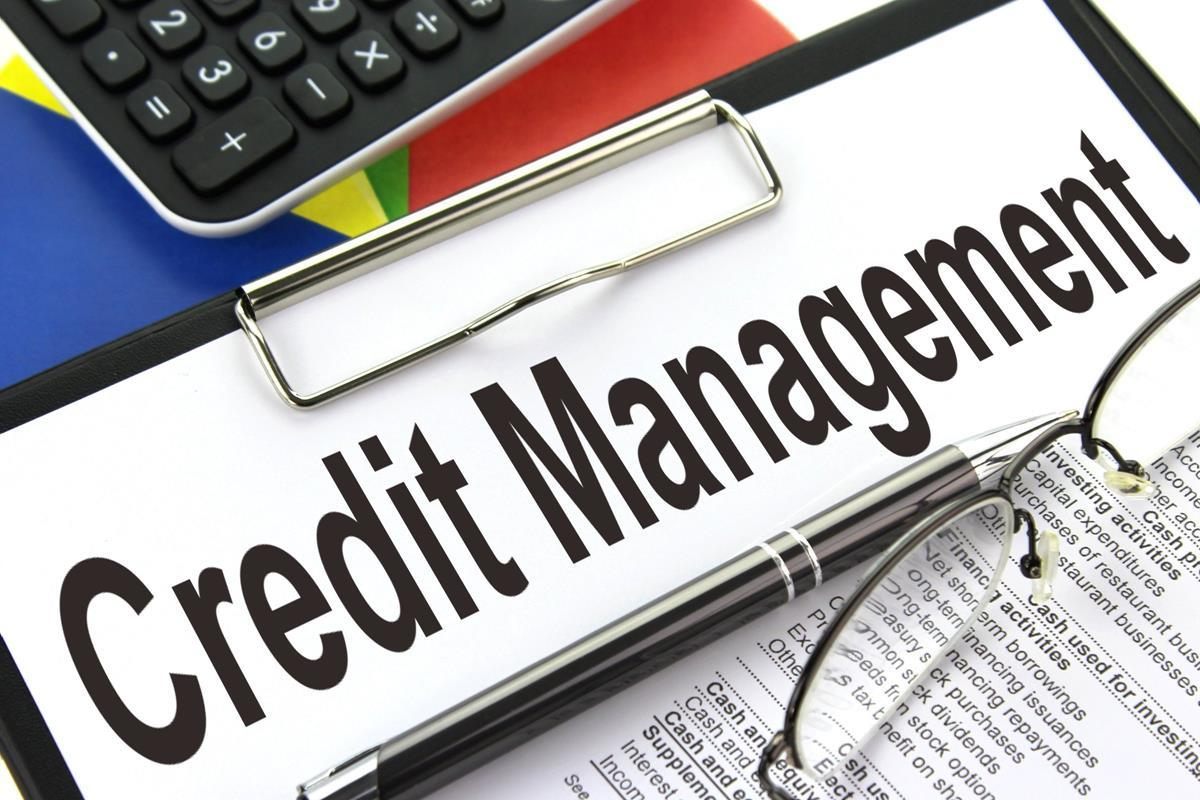 Credit Management Software Market