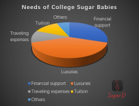 What are college sugar babies seeking?