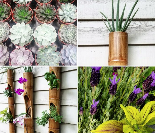 Planters with a Purpose 05'