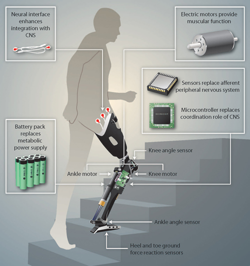 Robotic Prosthetics Market'