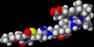 Polyethylene Glycol Market