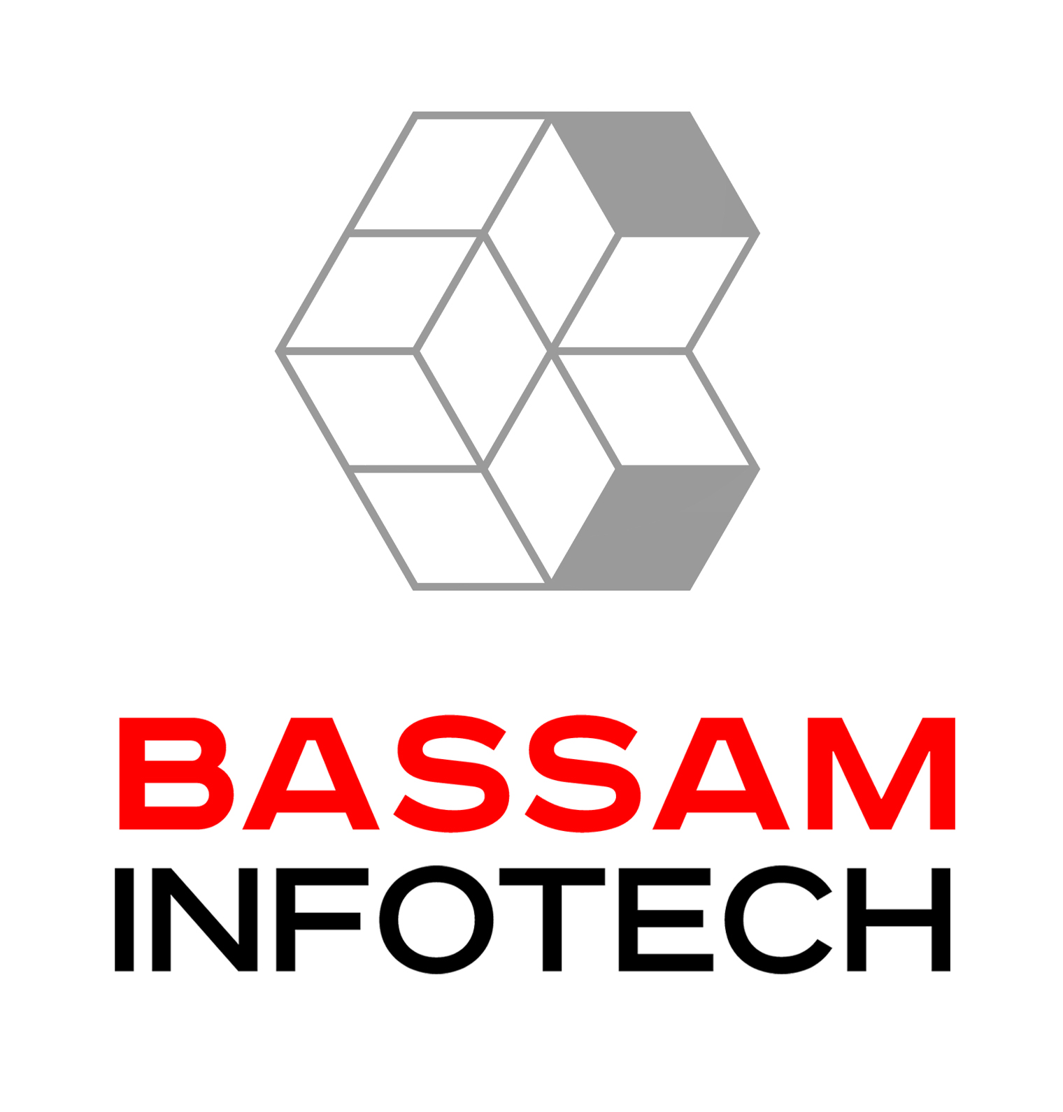 Company Logo For Bassam Infotech'