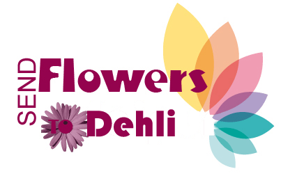 Latest News about Offers &amp; Services Providing By Florist'