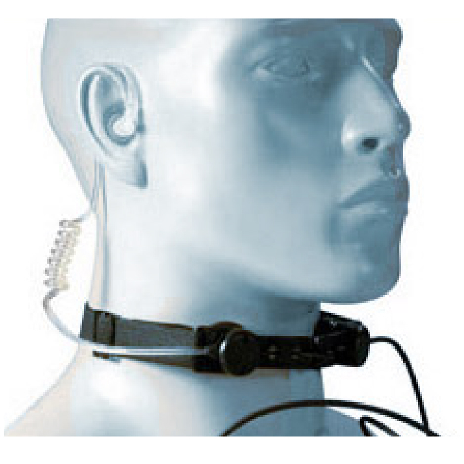 Subvocal Recognition market