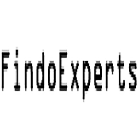 Company Logo For Findo Experts'