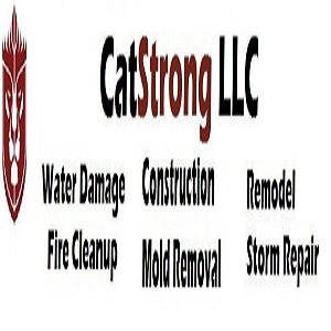 Company Logo For Catstrong Water Damage of Round Rock'