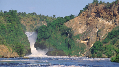 12-Day Best of Uganda with Murchison Falls, Gorillas, Chimps'
