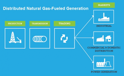 Distributed Natural Gas-Fueled Generation market'