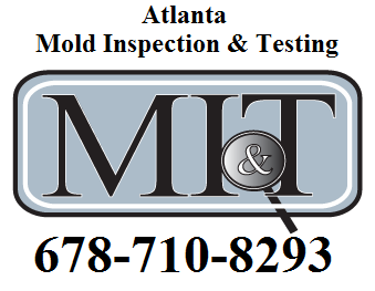 Mold Inspection & Testing