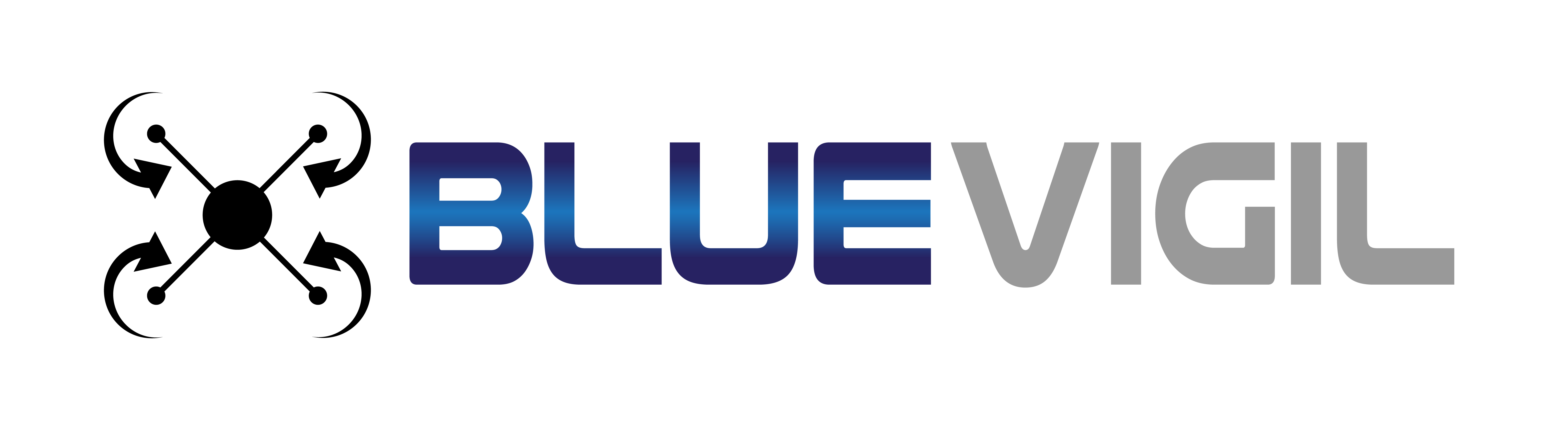 Blue Vigil, LLC