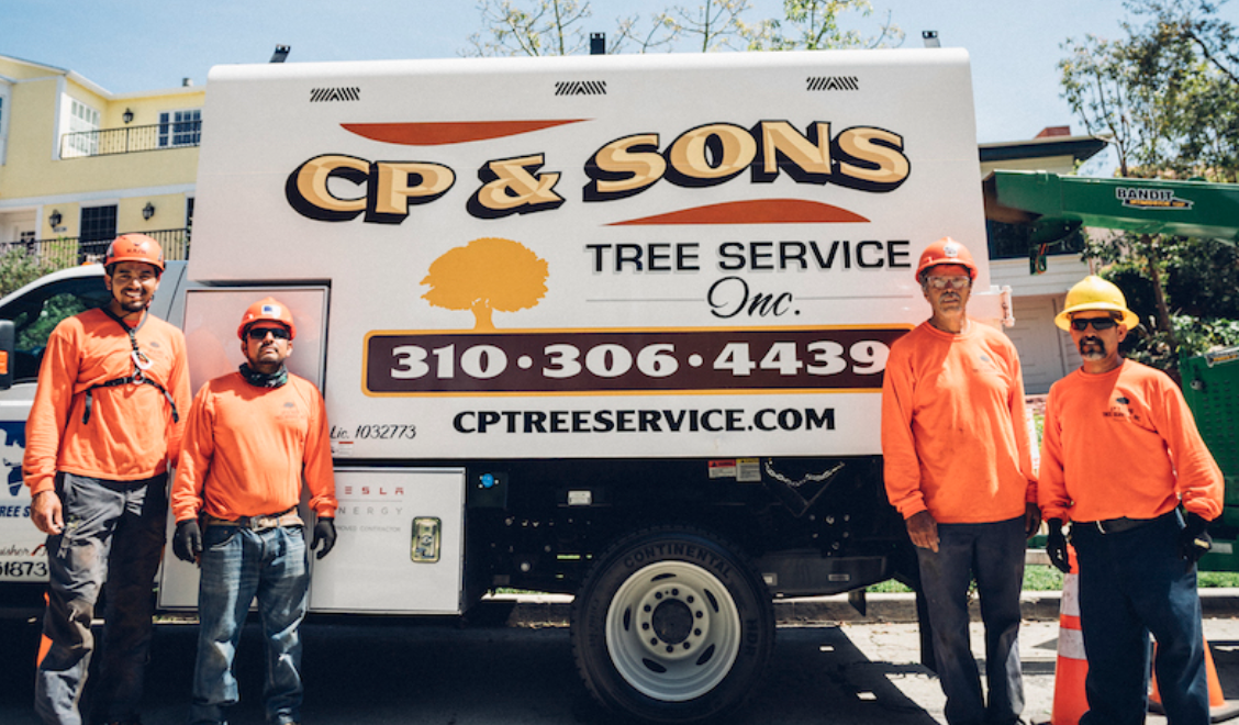 tree trimming Los Angeles'
