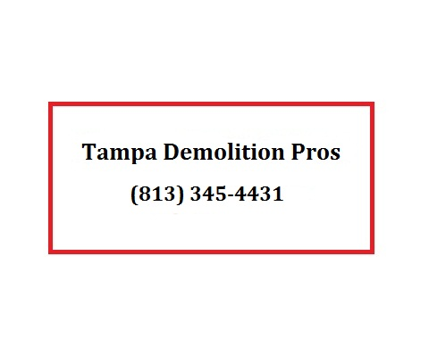 Company Logo For Tampa Demolition Pros'