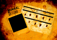 Criminal Records Search