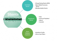 Digestive Tract Stents