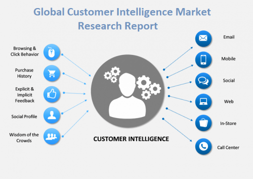 Customer Intelligence Market'