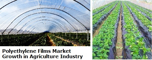 Polyethylene Films Market Identify Opportunities and Challen'