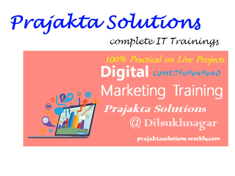 Company Logo For Prajakta Solutions'