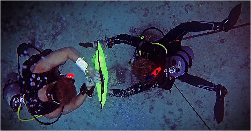 PADI IDC Gili Islands