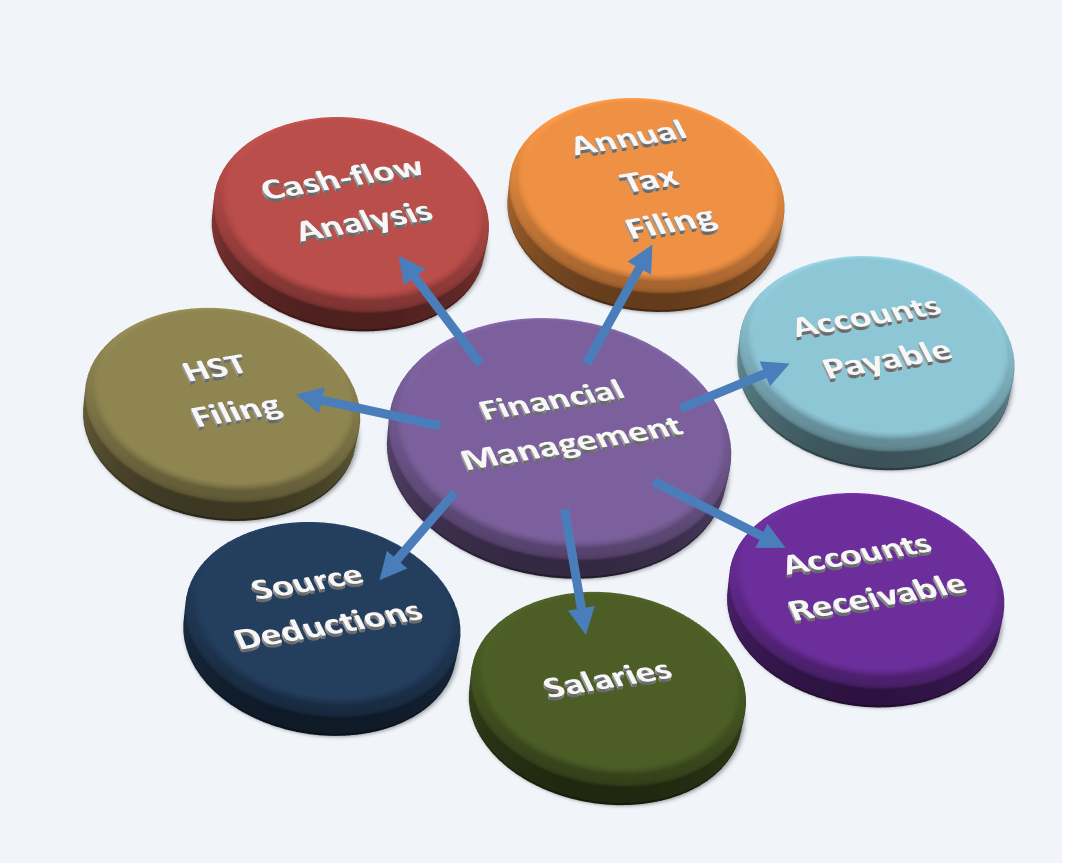 Financial Management Software Market Research Report by Segm