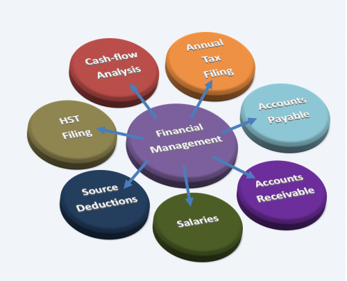Financial Management Software Market Research Report by Segm'