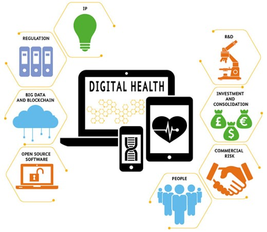 Digital Healthcare Software market