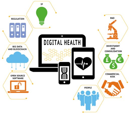 Digital Healthcare Software market'