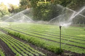 Global Micro and Mechanized Irrigation Systems Market'