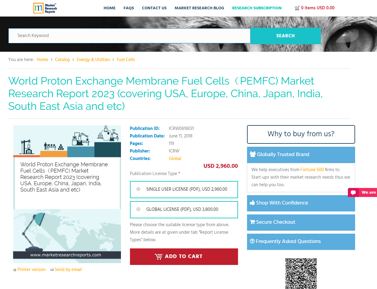 World Proton Exchange Membrane Fuel Cell'