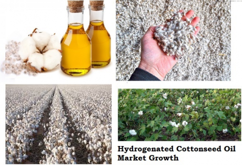 Hydrogenated Cottonseed Oil Market'
