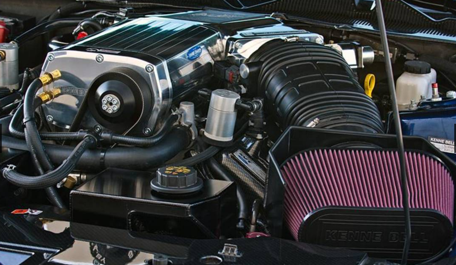 Shelby 1000