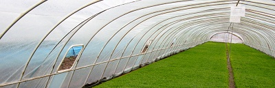 Agricultural Films Market