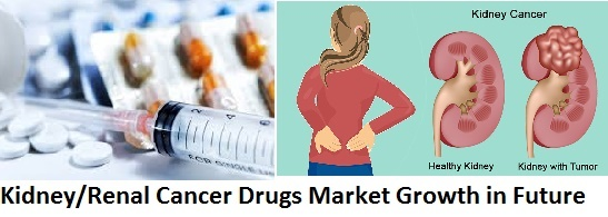 Kidney/Renal Cancer Drugs Market'