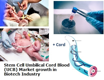 Umbilical Cord Blood Stem Cell Market'