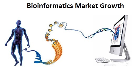 Bioinformatics Market Boosting Revenue Size in Near Future'