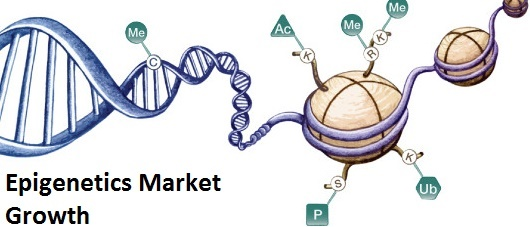 Epigenetics Market Largest Regional Revenue Share in Near Fu'