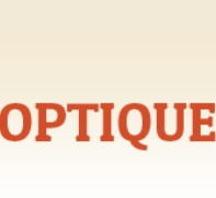 Web Optic Logo