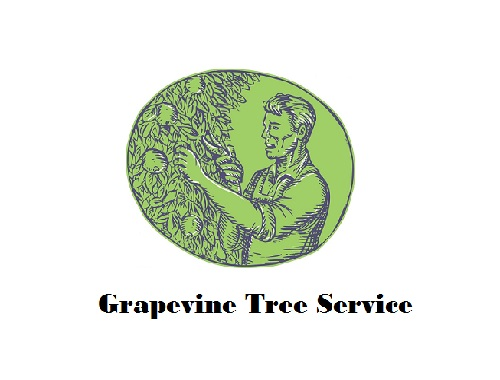 Grapevine Tree Service'