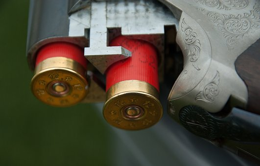 Guns And Ammo San Diego