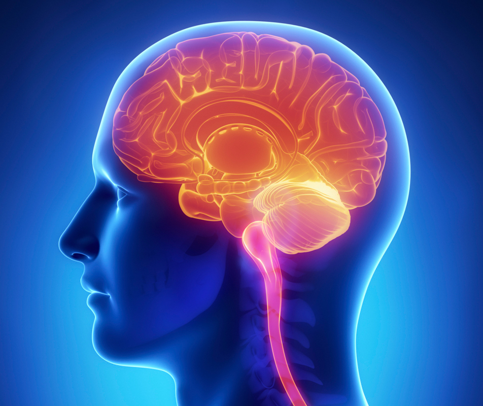 Company Logo For Best Neurologist in Chennai Apollo Hospital'