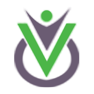 Company Logo For V Software'